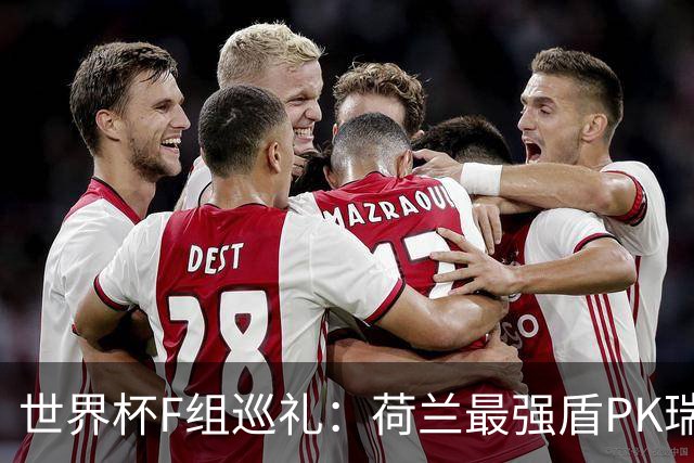 世界杯F组巡礼：荷兰最强盾PK瑞典犀利刀 日本短板明显